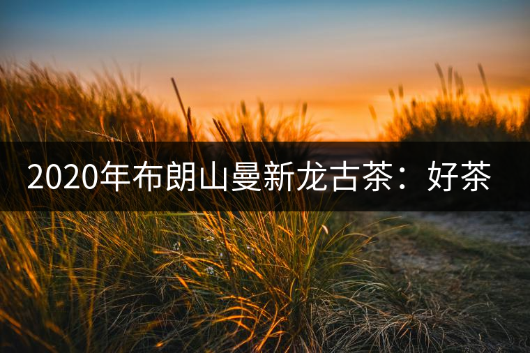 2020年布朗山曼新龍古茶：好茶需細(xì)品-易武中聘號