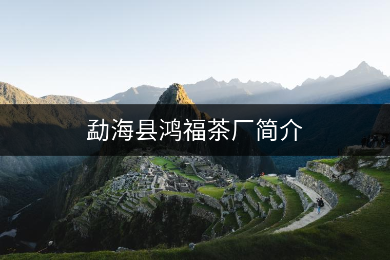 勐?？h鴻福茶廠簡(jiǎn)介