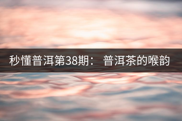 秒懂普洱第38期： 普洱茶的喉韻是什么？