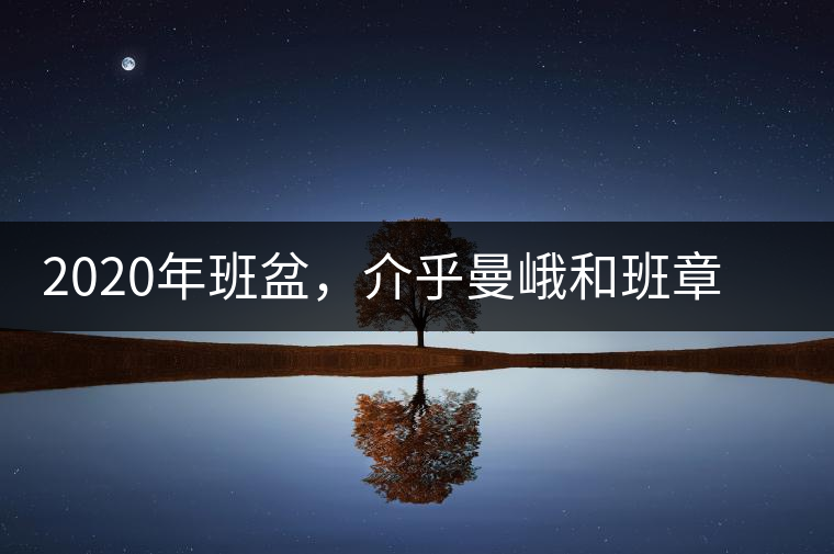 2020年班盆，介乎曼峨和班章間的“老漢子”-易武中聘號(hào)