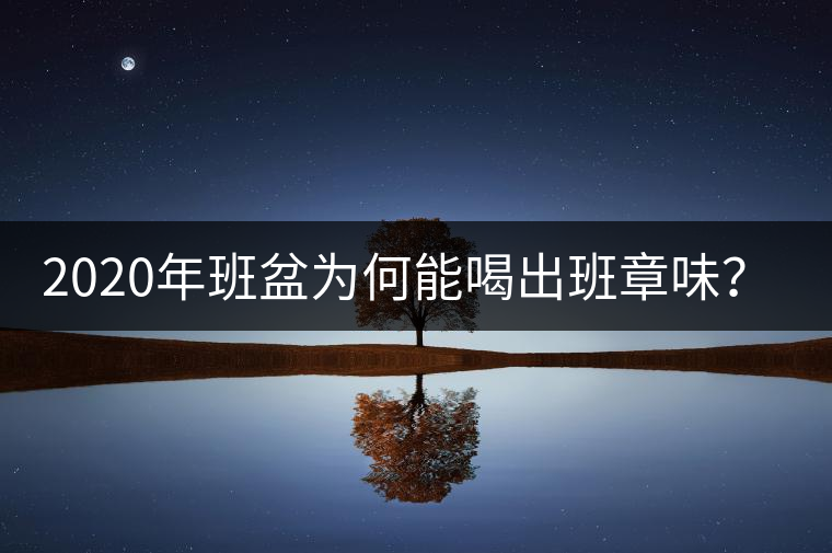2020年班盆為何能喝出班章味？-易武中聘號