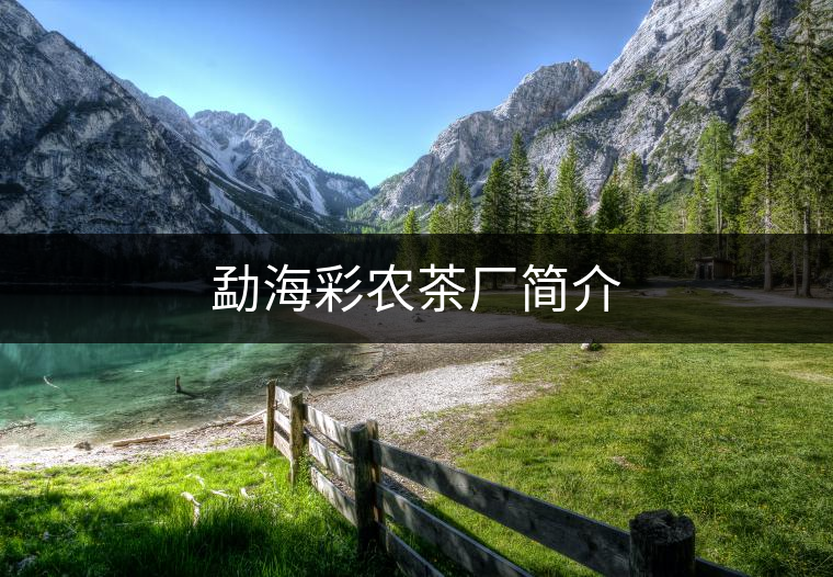 勐海彩農(nóng)茶廠簡(jiǎn)介 勐海彩農(nóng)茶廠簡(jiǎn)介