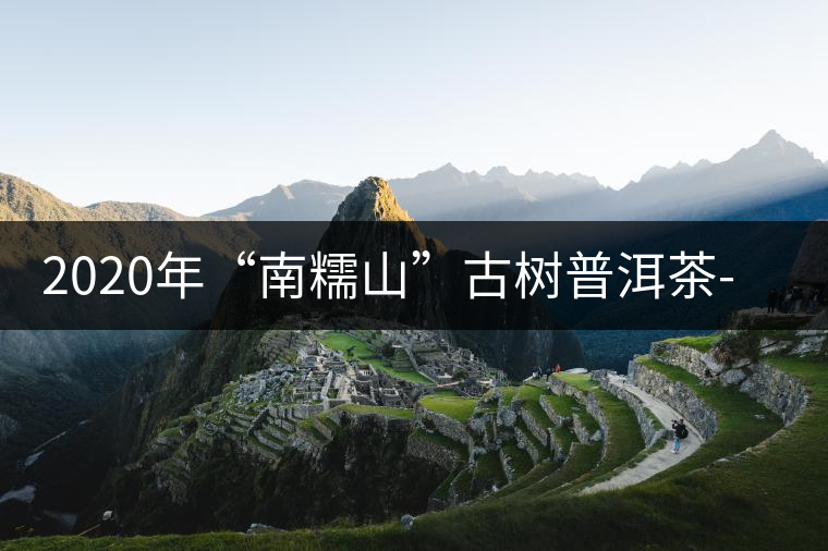 2020年“南糯山”古樹(shù)普洱茶-易武中聘號(hào)