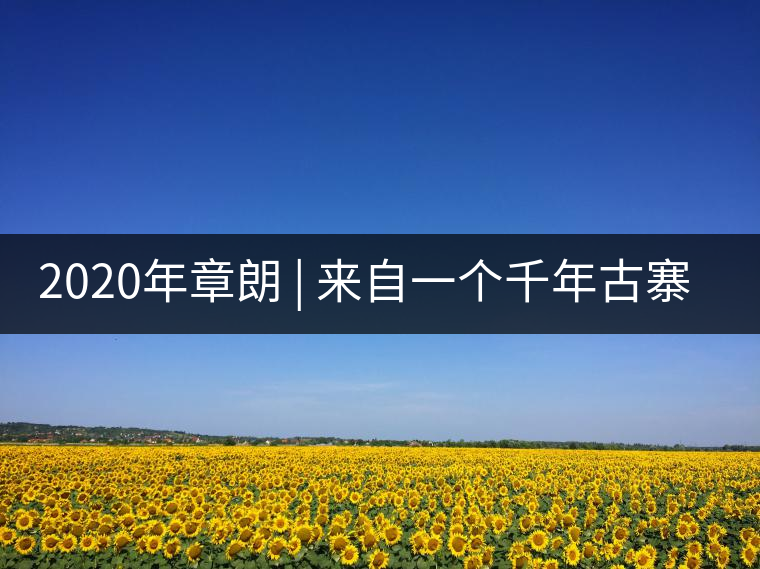 2020年章朗 | 來自一個(gè)千年古寨的古樹茶 -易武中聘號