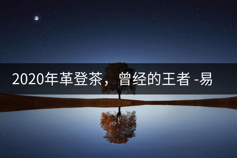 2020年革登茶，曾經(jīng)的王者 -易武中聘號