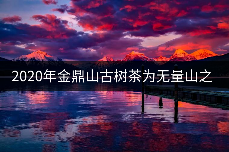 2020年金鼎山古樹茶為無量山之魂 -易武中聘號(hào)