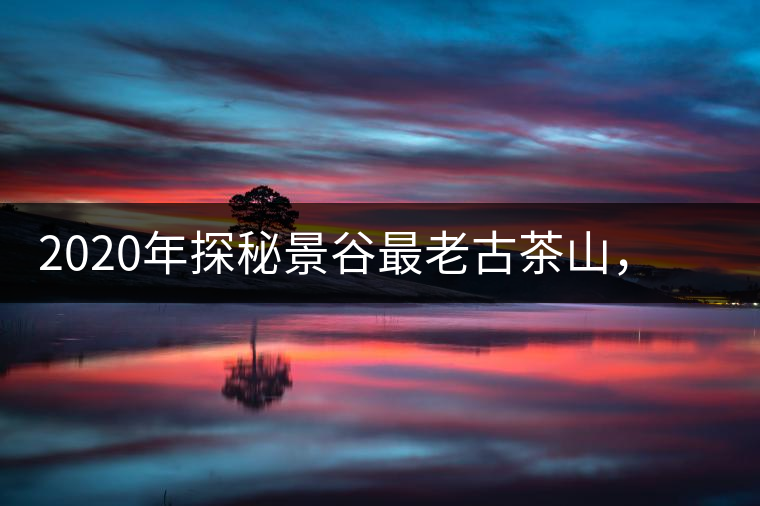 2020年探秘景谷最老古茶山，一個(gè)家族的興茶往事-易武中聘號(hào)