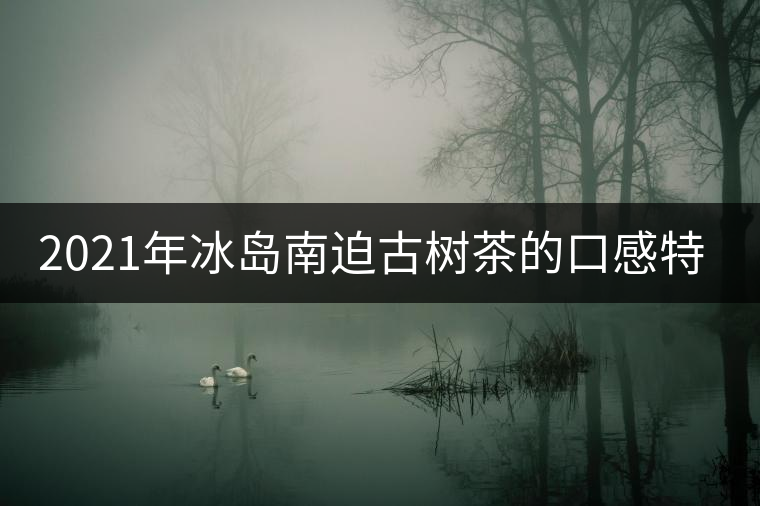 2021年冰島南迫古樹(shù)茶的口感特點(diǎn)! 2021年冰島南迫古樹(shù)茶的口感特點(diǎn)!
