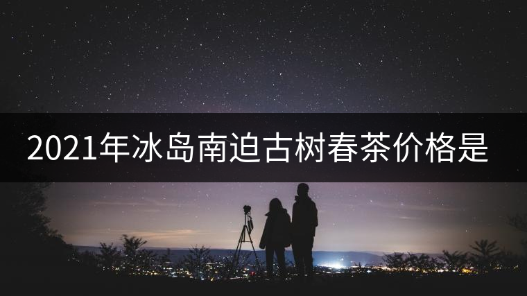 2021年冰島南迫古樹春茶價格是多少？