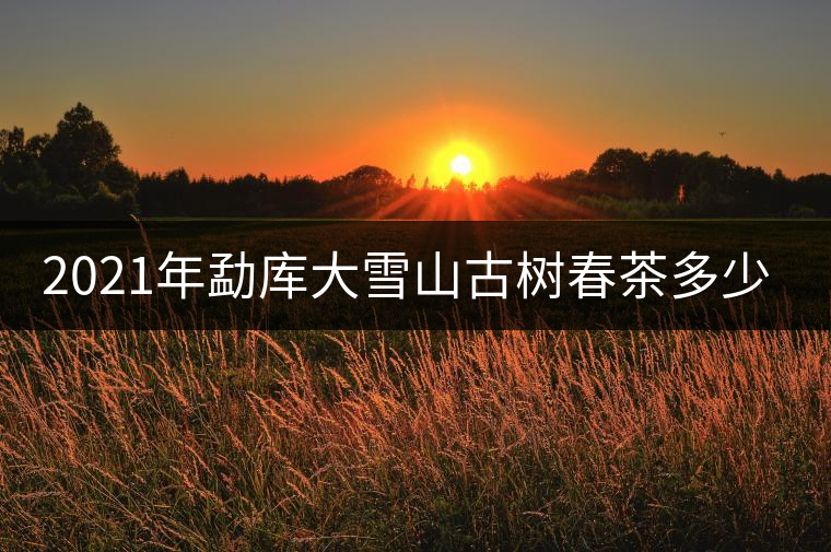 2021年勐庫(kù)大雪山古樹(shù)春茶多少錢(qián)一公斤？