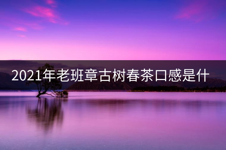 2021年老班章古樹春茶口感是什么？