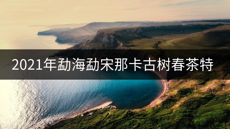 2021年勐海勐宋那卡古樹春茶特點(diǎn)？