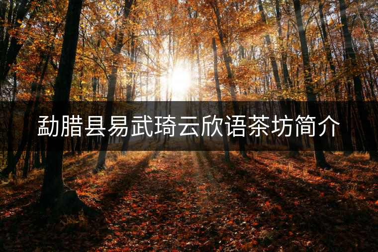 勐臘縣易武琦云欣語(yǔ)茶坊簡(jiǎn)介
