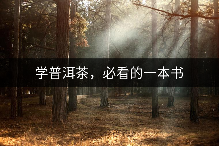 學(xué)普洱茶，必看的一本書