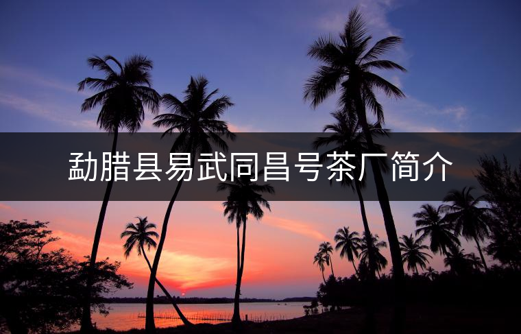 勐臘縣易武同昌號(hào)茶廠簡介