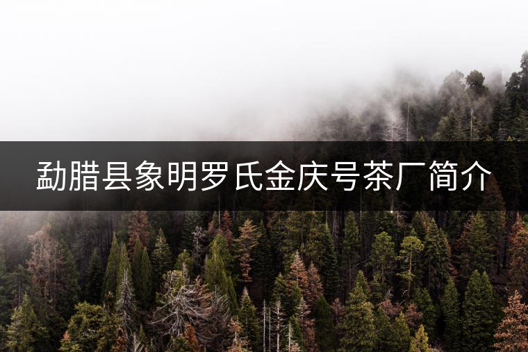 勐臘縣象明羅氏金慶號(hào)茶廠(chǎng)簡(jiǎn)介
