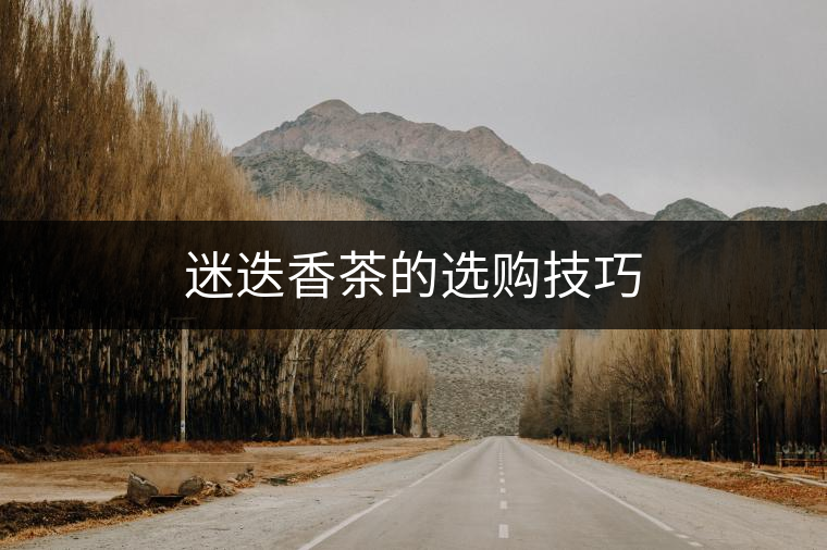 迷迭香茶的選購(gòu)技巧 迷迭香茶的選購(gòu)技巧