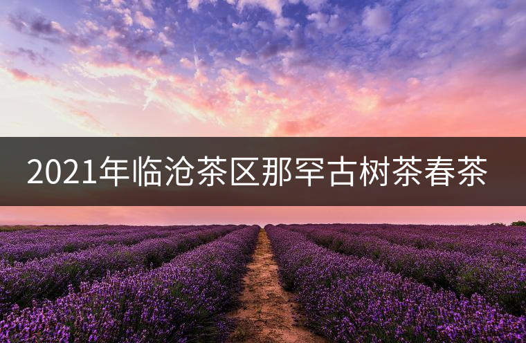 2021年臨滄茶區(qū)那罕古樹茶春茶多少錢一公斤？