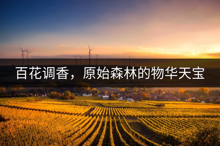 百花調(diào)香，原始森林的物華天寶