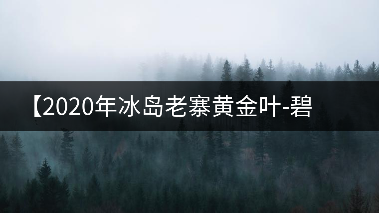 【2020年冰島老寨黃金葉-碧波蕩漾一抹香，輕啜半盞甘若露。