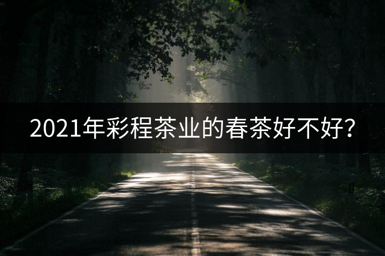 2021年彩程茶業(yè)的春茶好不好？