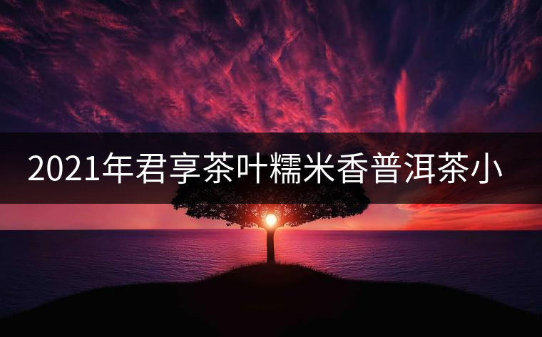 2021年君享茶葉糯米香普洱茶小沱茶餅口感好嗎？