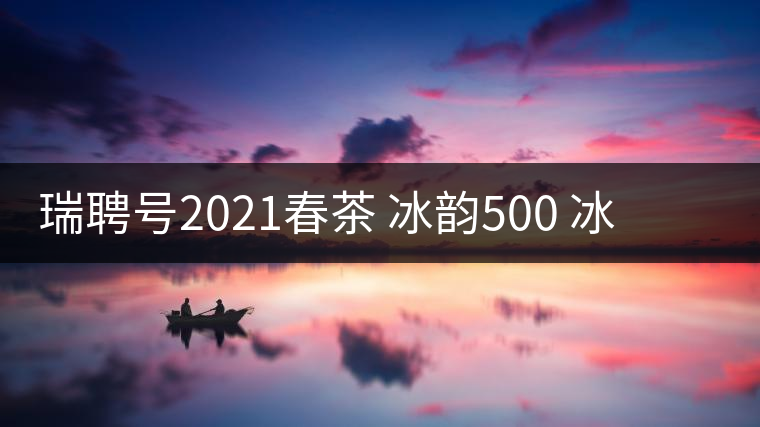 瑞聘號(hào)2021春茶 冰韻500 冰島頭春古樹(shù)茶口感好不好？