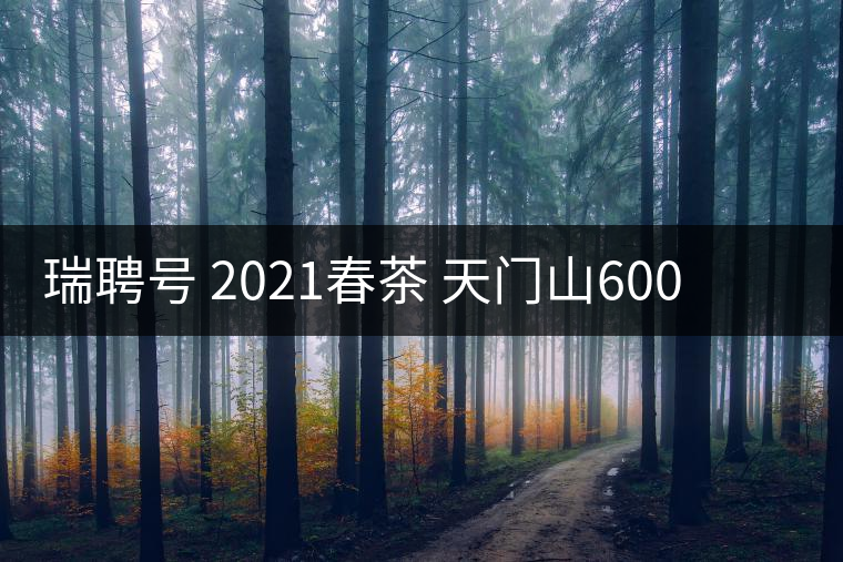瑞聘號(hào) 2021春茶 天門山600 頭春古樹(shù)口感怎么樣？