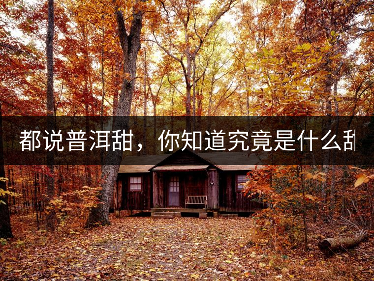 都說普洱甜，你知道究竟是什么甜嗎？