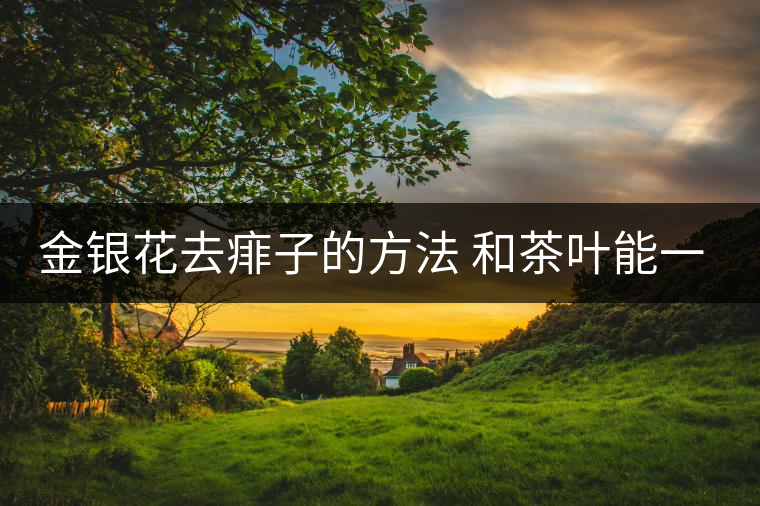 金銀花去痱子的方法 和茶葉能一起泡嗎