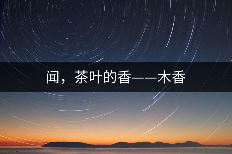 聞，茶葉的香——木香