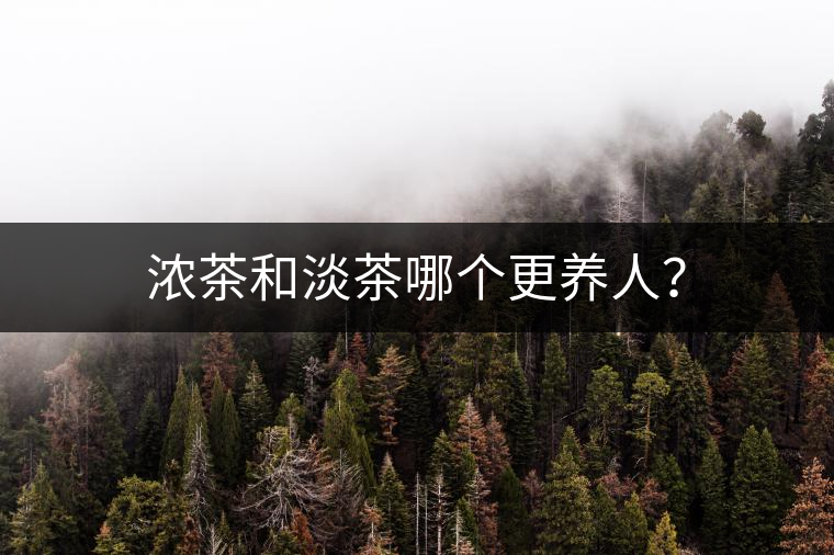 濃茶和淡茶哪個更養(yǎng)人？