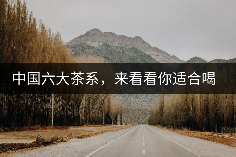 中國六大茶系，來看看你適合喝哪種茶？