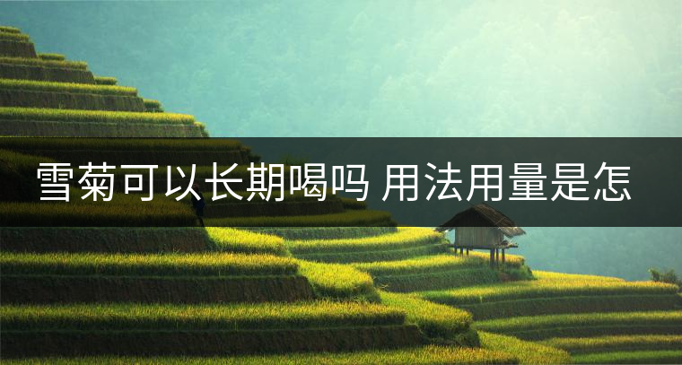 雪菊可以長期喝嗎 用法用量是怎樣的 雪菊可以長期喝嗎 用法用量是怎樣的