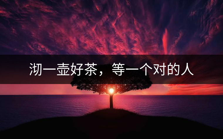 沏一壺好茶，等一個(gè)對(duì)的人