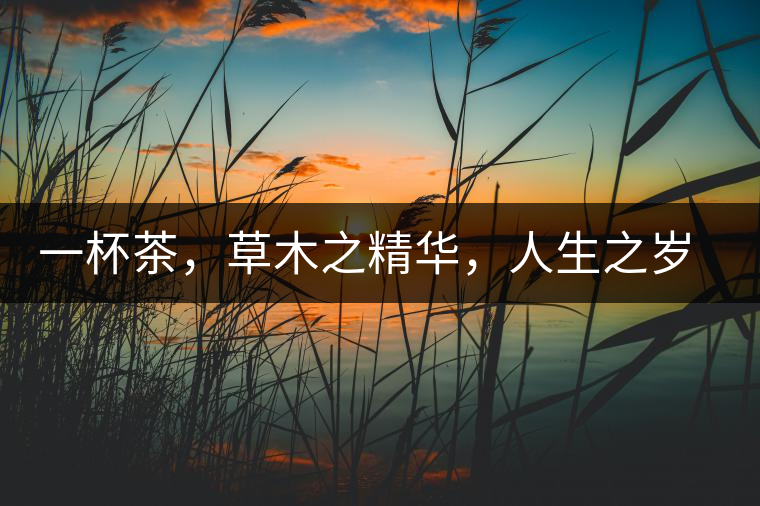一杯茶，草木之精華，人生之歲月