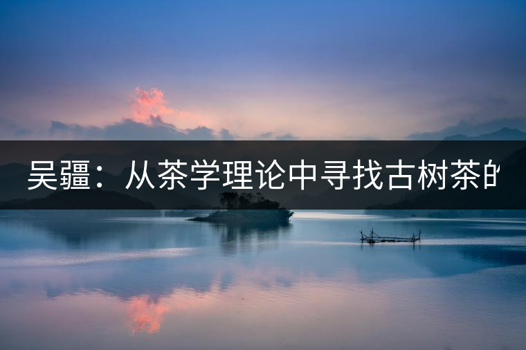 吳疆：從茶學理論中尋找古樹茶的鑒別方法？（讀書筆記3）