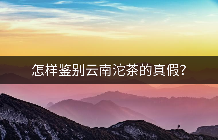 怎樣鑒別云南沱茶的真假？