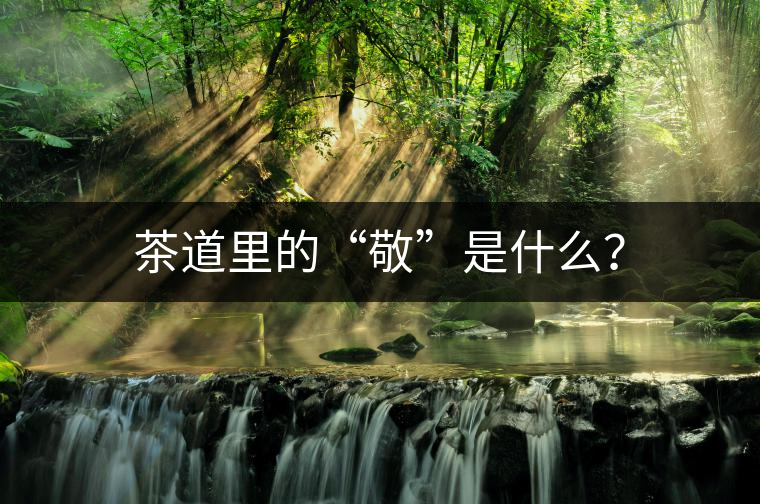茶道里的“敬”是什么？