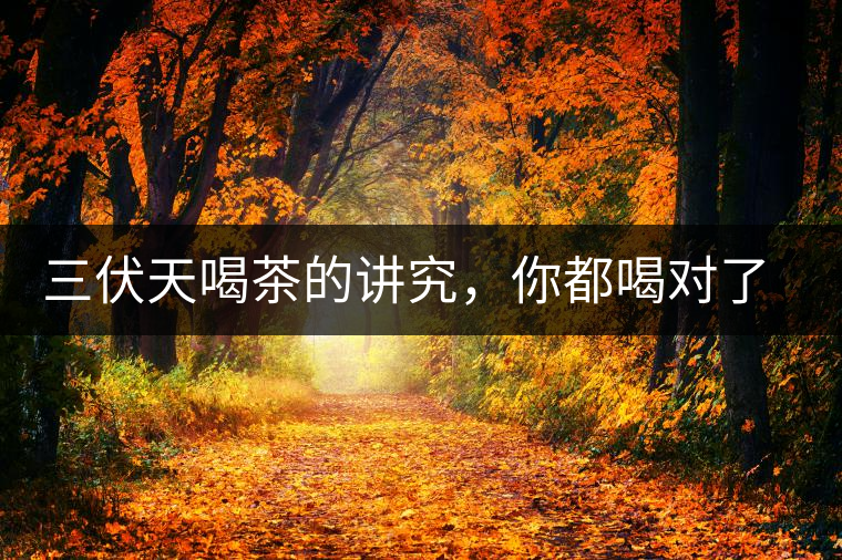 三伏天喝茶的講究，你都喝對(duì)了嗎？