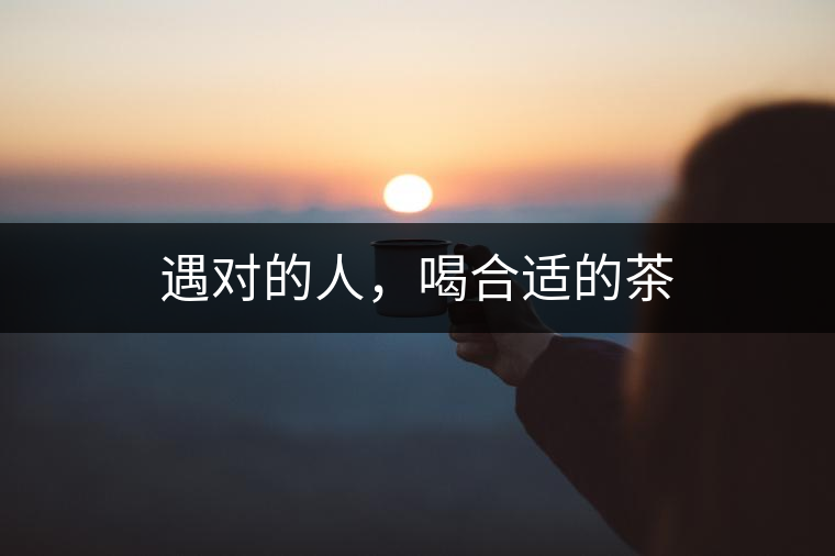 遇對的人，喝合適的茶