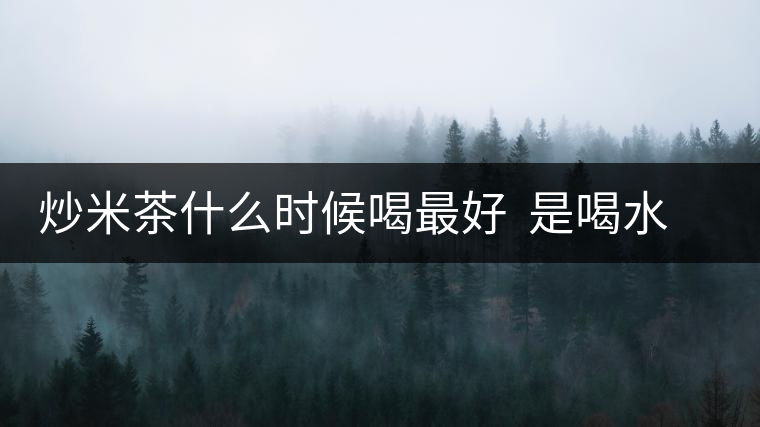 炒米茶什么時(shí)候喝最好  是喝水還是吃米