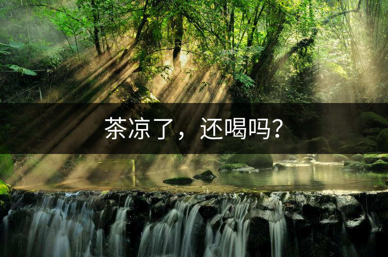 茶涼了，還喝嗎？