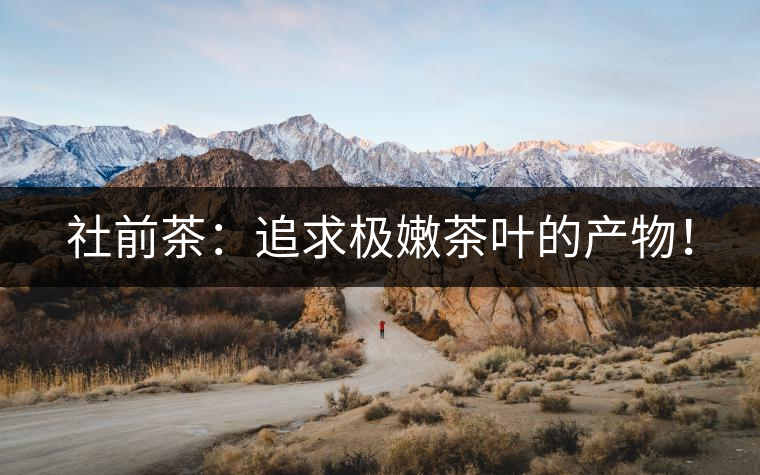 社前茶：追求極嫩茶葉的產(chǎn)物！