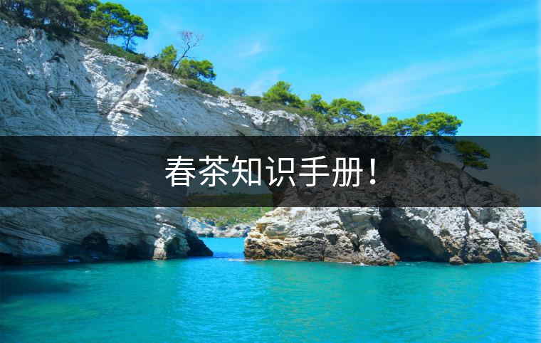 春茶知識手冊！