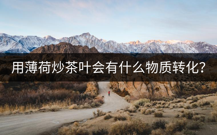 用薄荷炒茶葉會(huì)有什么物質(zhì)轉(zhuǎn)化？