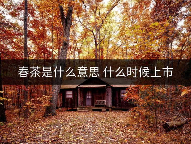 春茶是什么意思 什么時候上市