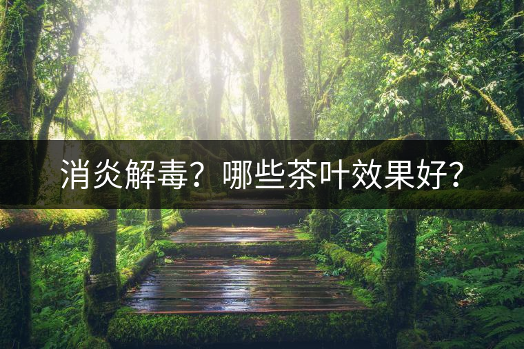 消炎解毒？哪些茶葉效果好？