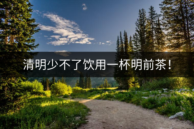 清明少不了飲用一杯明前茶！