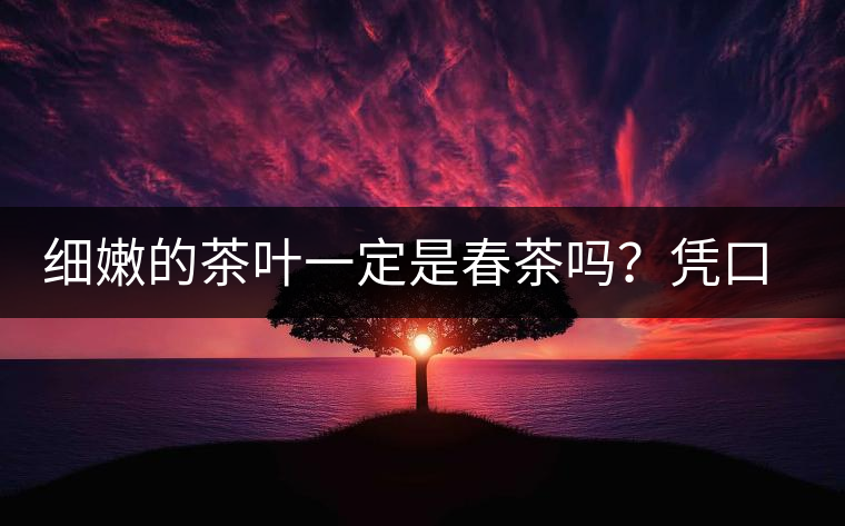 細(xì)嫩的茶葉一定是春茶嗎？憑口感鑒別春茶的方法